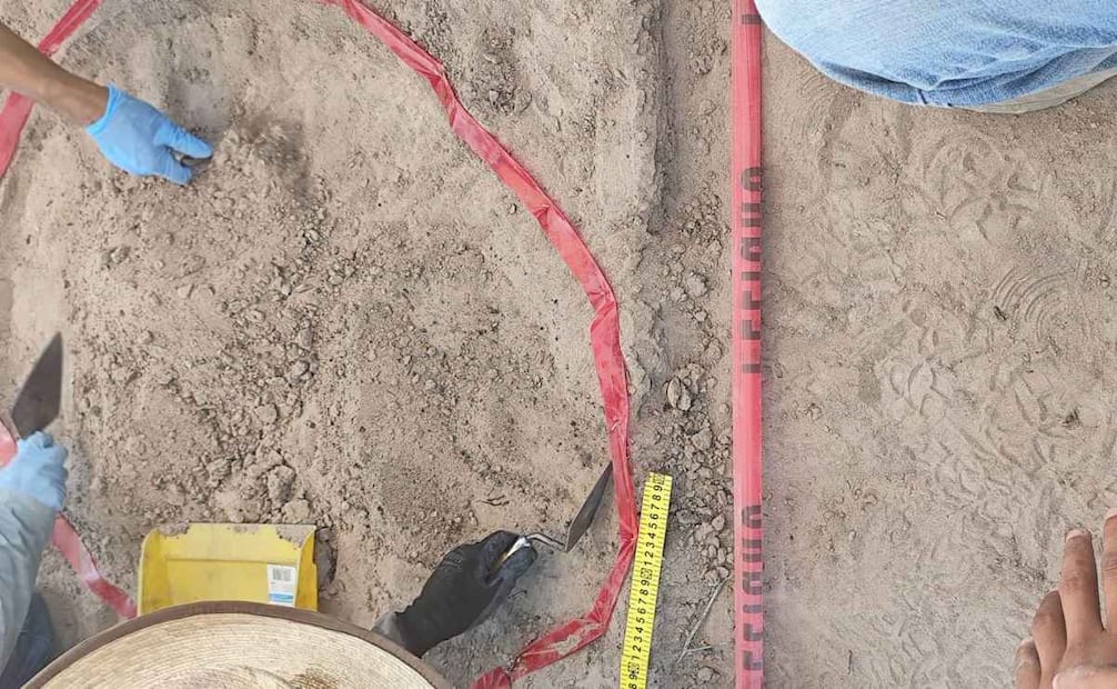 Hallan nueva zona de exterminio en Viesca, Coahuila; prevén recuperar restos óseos.
(02/09/26)
Foto: Especial.