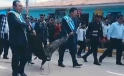 Captan a alcalde arrastrando a un cóndor andino durante Fiestas Patrias en Perú