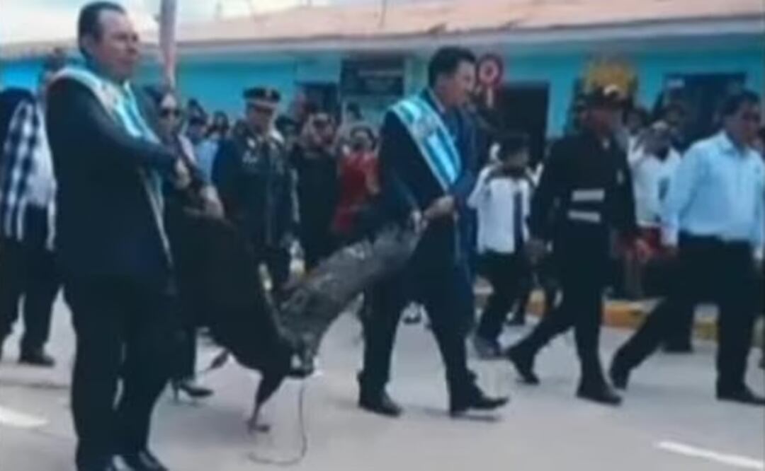 Un cóndor andino fue arrastrado hasta la plaza principal de Coyllurqui, Apurímac. Foto: Tomada del video