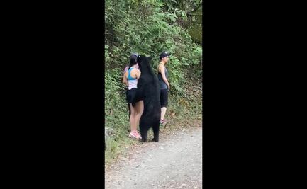 Piden que oso de Chipinque no sea llevado a un zoológico