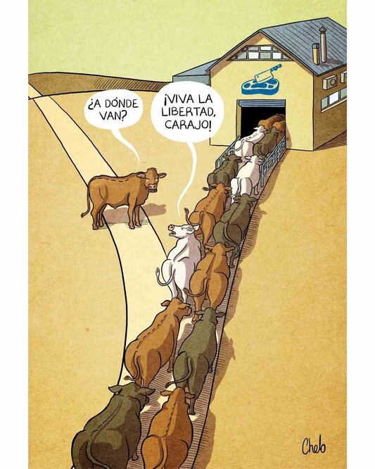 Cartón de CHELO