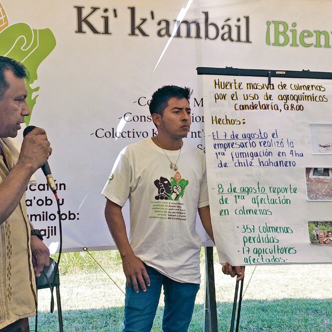 Afectación. Indígenas mayas acusan que los megaproyectos dañarán la conservación de sus recursos naturales. (ADRIANA VARILLAS. EL UNIVERSAL)