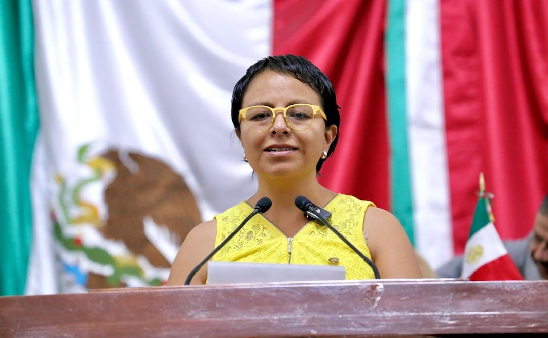 La diputada del PAN, Lizzette Salgado. Foto: especial