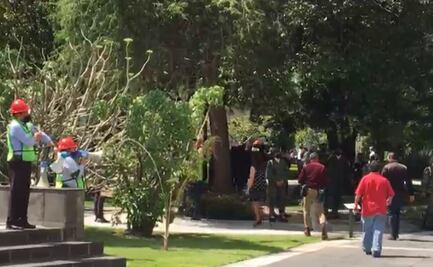 AMLO participa en Palacio Nacional en mega simulacro de sismo