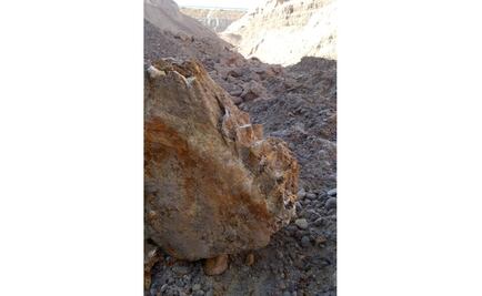 Hallan un diente de un mamut en Durango