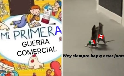 Aranceles de Trump a México; usuarios reaccionan con memes a guerra comercial