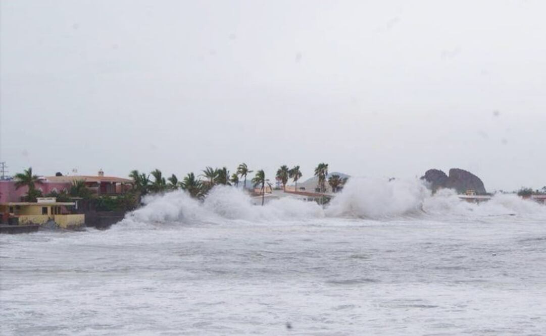 Foto: Archivo/ EL UNIVERSAL                                  