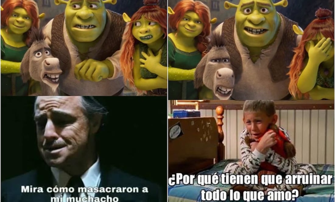 Memes De Shrek Burro