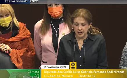 "Artistas, casas de cultura, les decimos: Morena no quiere darles el dinero": legisladoras