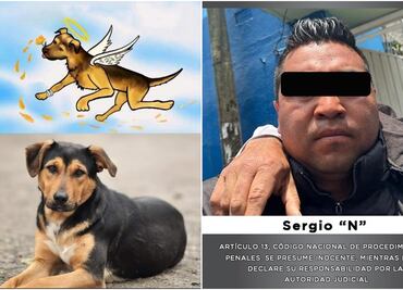 ¿Cuánto dinero ofrecían por entregar al asesino de “Benito”, perrito lanzado al aceite hirviendo de Tecámac?