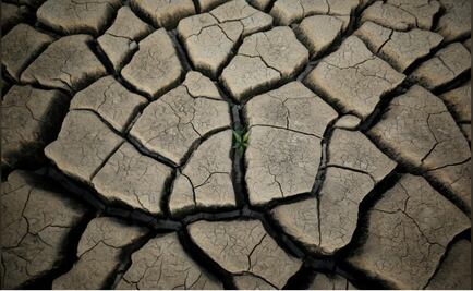 Ciudad del Cabo: Alerta para un mundo sediento