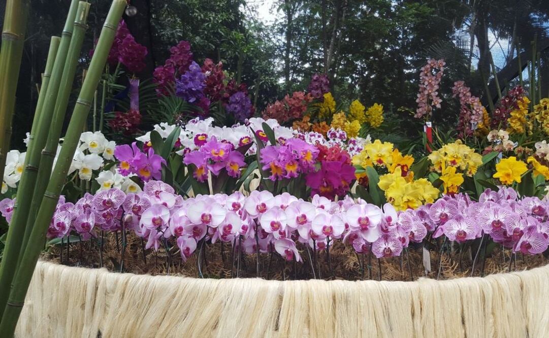 Fotos: Adriana Pérez Castillo