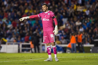 Tiago Volpi regresaría a Gallos Blancos