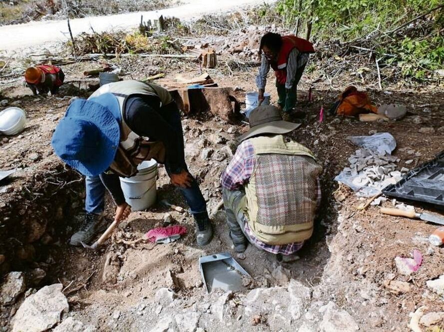 Tren Maya: “La exploración arqueológica debe mejorar”. Foto: Especial