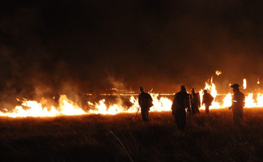 Foto: Twitter / ICMBio