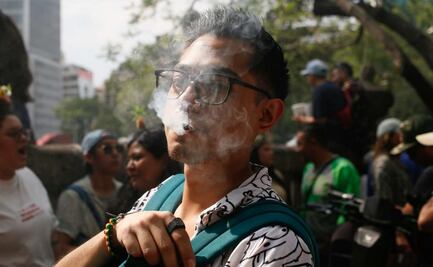 Avanza diálogo con grupos cannábicos