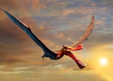 Como un dragón, así es la nueva especie de dinosaurio recién descubierta