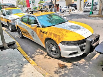 Tránsito también estrenará unidades