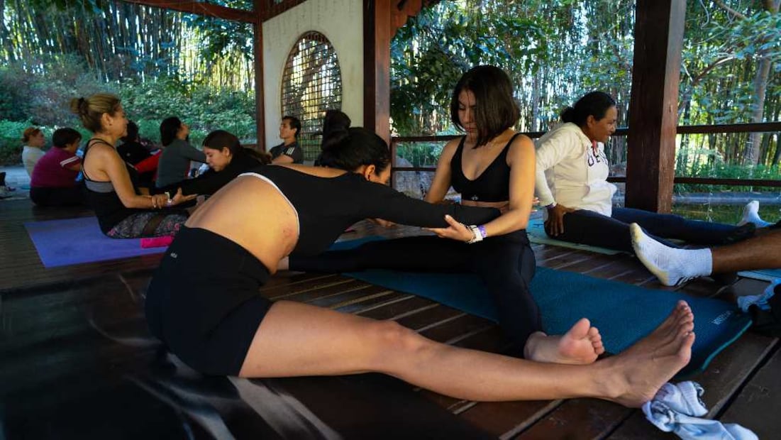 Foto: Jardines de México