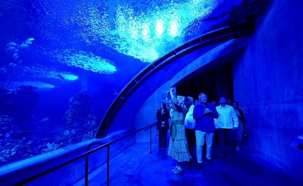 El embajador Zhang Run recitó el poema “Changsha”, de Mao Zedong. Foto: Instagram @beatrizgutierrezmuller