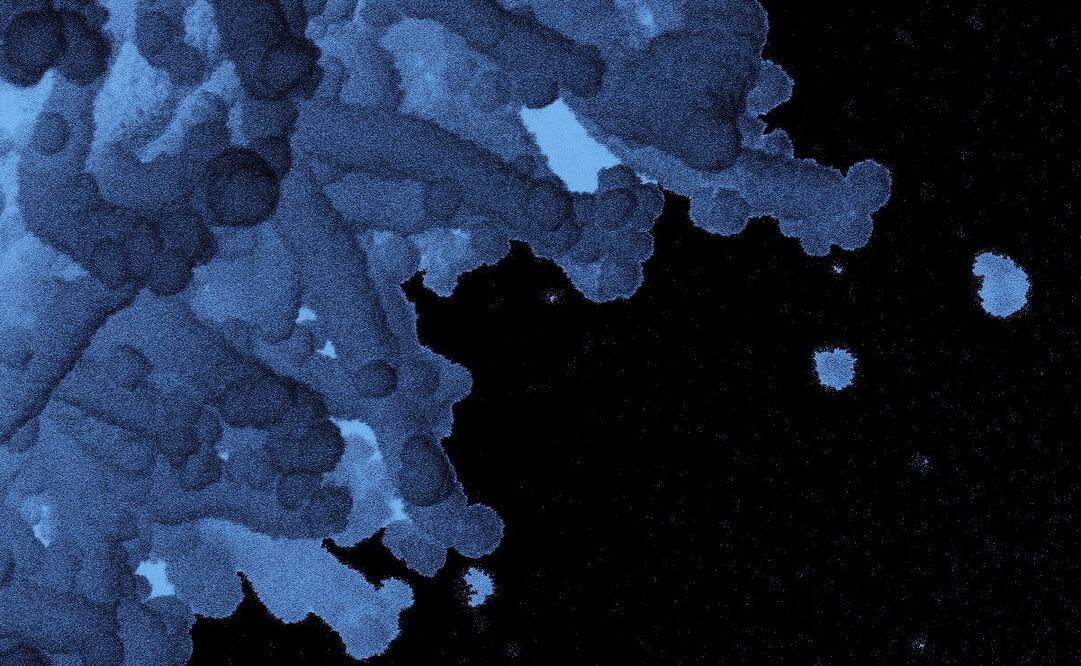 Foto: EFE/EPA/NIAID/NATIONAL INSTITUTES OF HEALTH