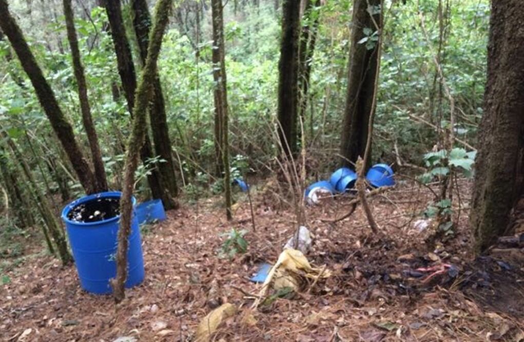 Foto: Carlos Arrieta