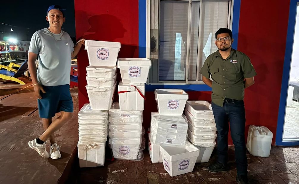 Activista recauda hieleras para proteger anidación de tortugas en Tamaulipas; busca evitar riesgos en Playa Bagdad.
Foto: Especial.