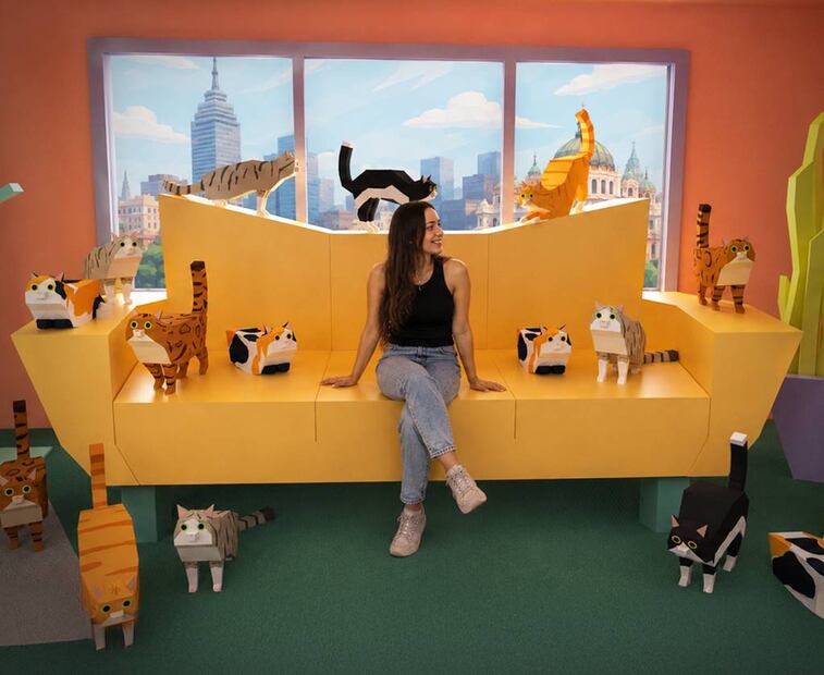 Foto: Museo del Gato