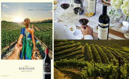 Llévame de la mano a Napa