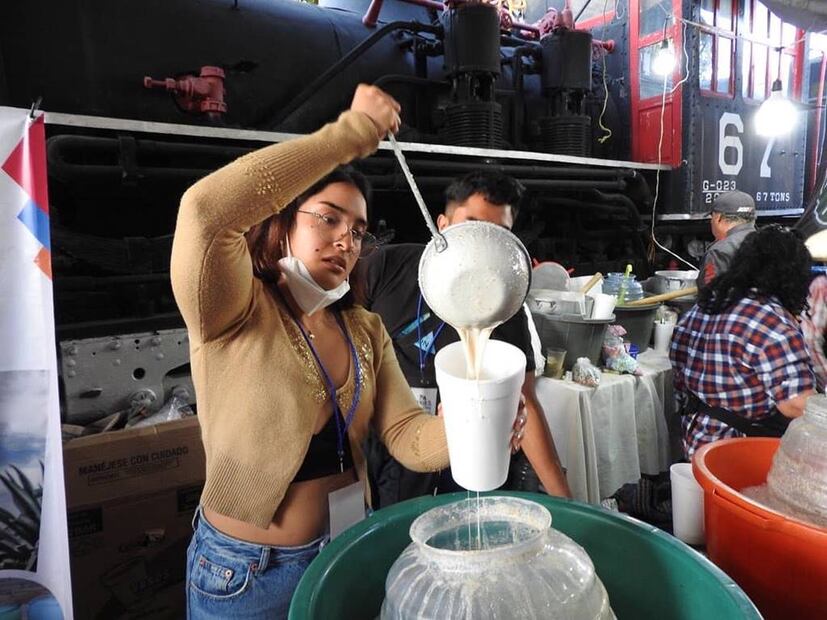 Foto: Feria de Pulquerias Tradicionales