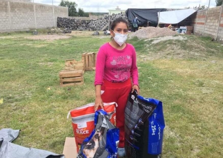 La inundación arrastró perros en Tula, pero "Copito" logró sobrevivir