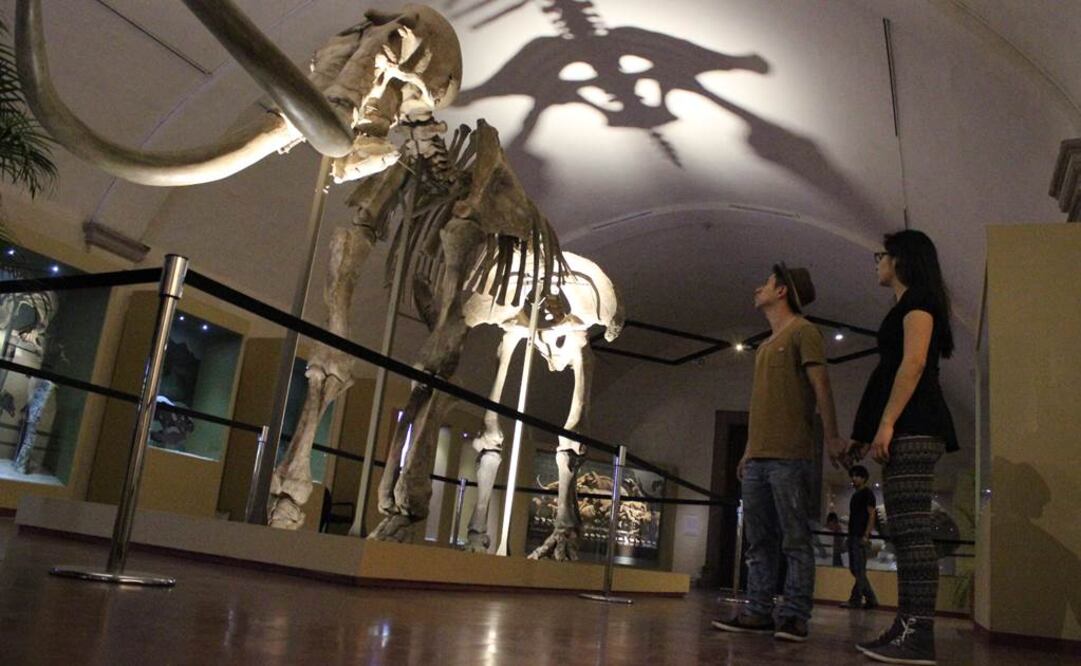 El uso de los teléfonos móviles en los museos se convertirá en motivo de un "juicio" durante el encuentro, que incluye también una "anticonferencia" en la que los asistentes propondrán los temas a tratar. FOTO: Archivo.