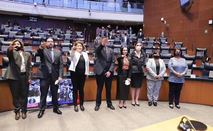Rinden protesta ante el Senado integrantes del Consejo Consultivo de la CNDH