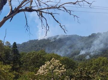 Se cumplen dos semanas del incendio en bosques de zona triqui en Oaxaca; siguen activos 7 siniestros en la entidad