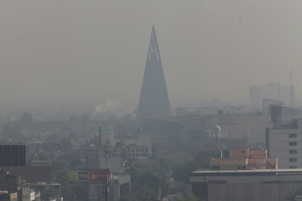 Lucía Godínez / EL UNIVERSAL