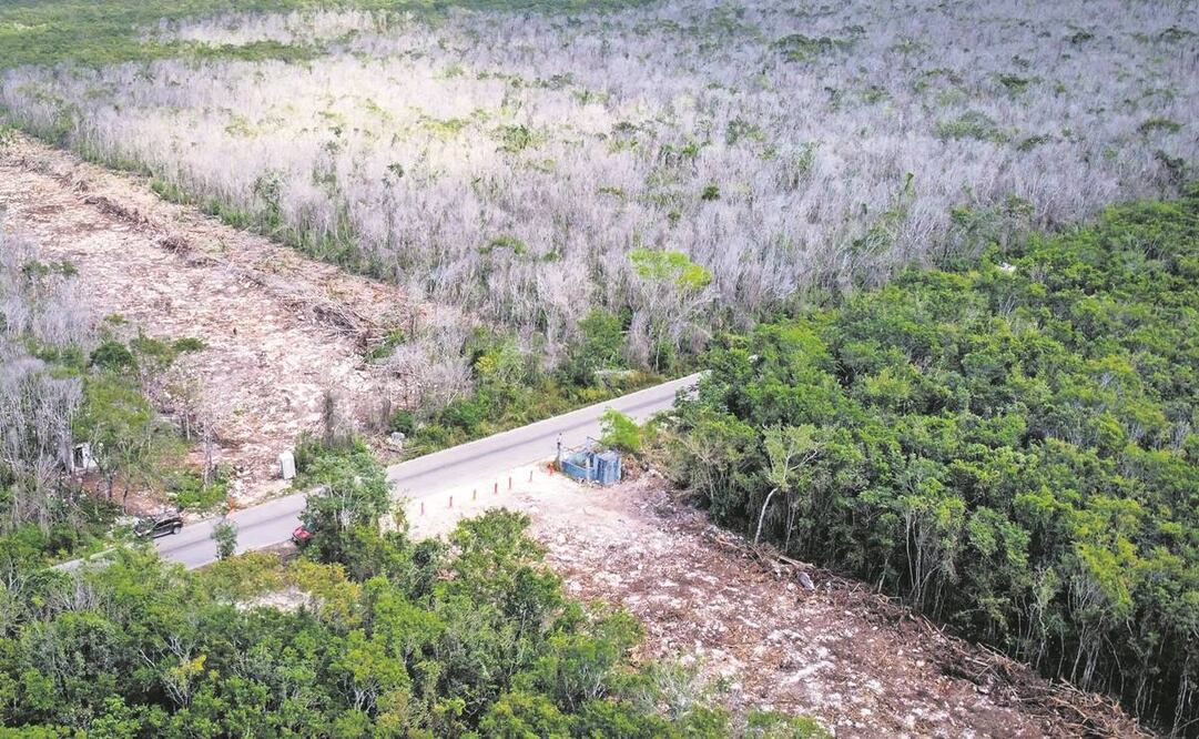 Urge un Tribunal Ambiental