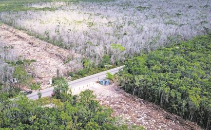 Urge un Tribunal Ambiental