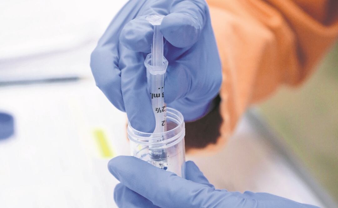 Foto: Xinhua/CSIRO, archivo