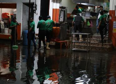 De encharcamientos a árboles caídos; autoridades capitalinas atienden afectaciones por lluvia