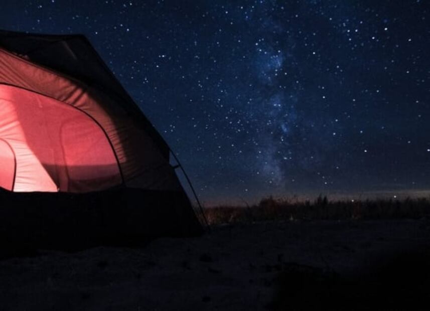 Pasa una noche viendo películas de terror en un bosque de CDMX