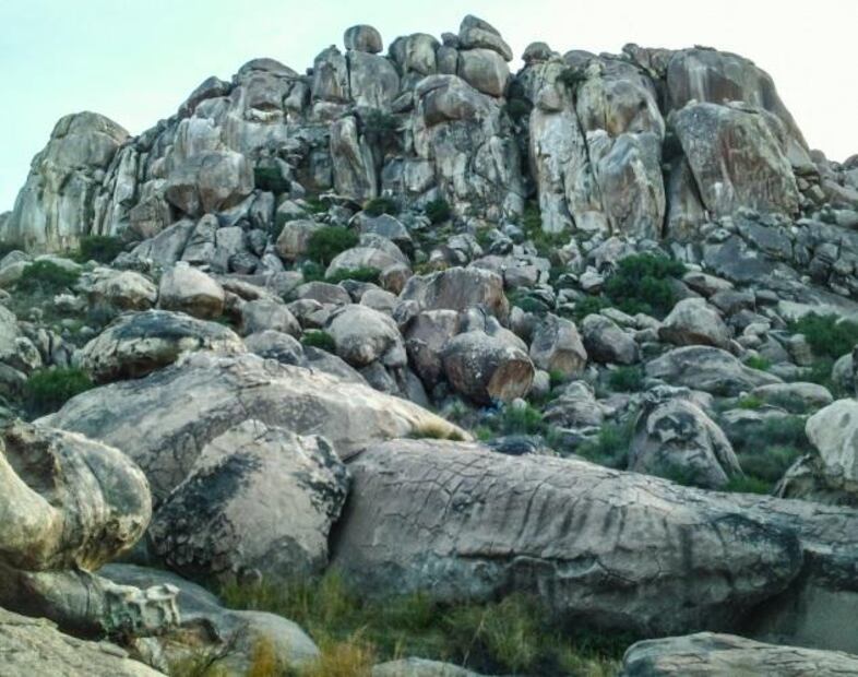 Imagen: Gobierno de Chihuahua