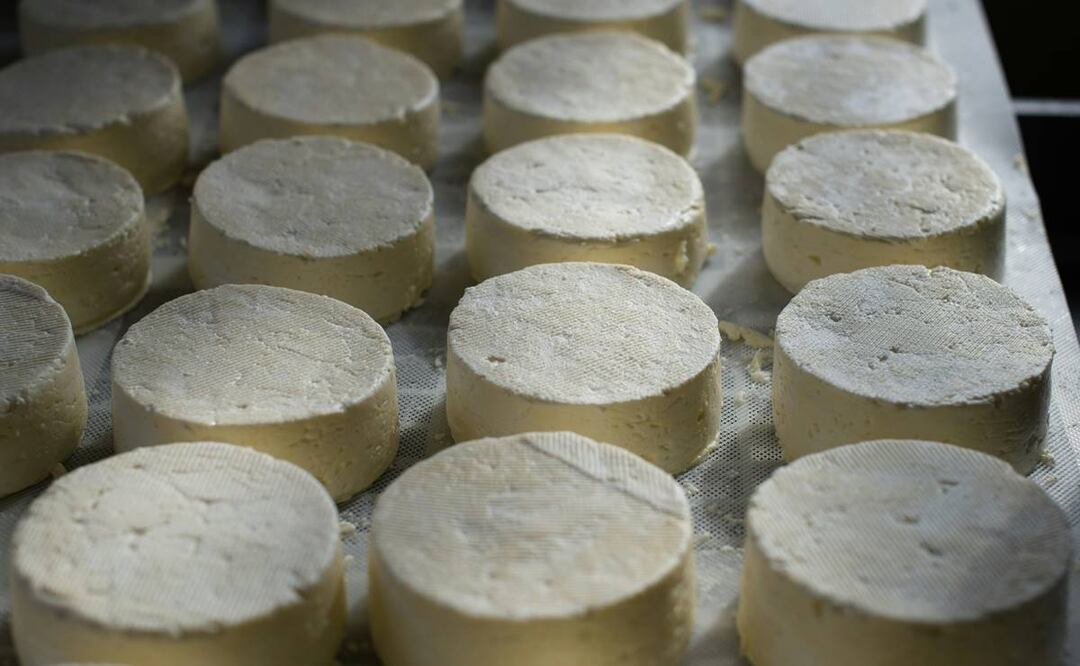 Lo que tienes que saber del queso fresco mexicano. Foto: Unsplash