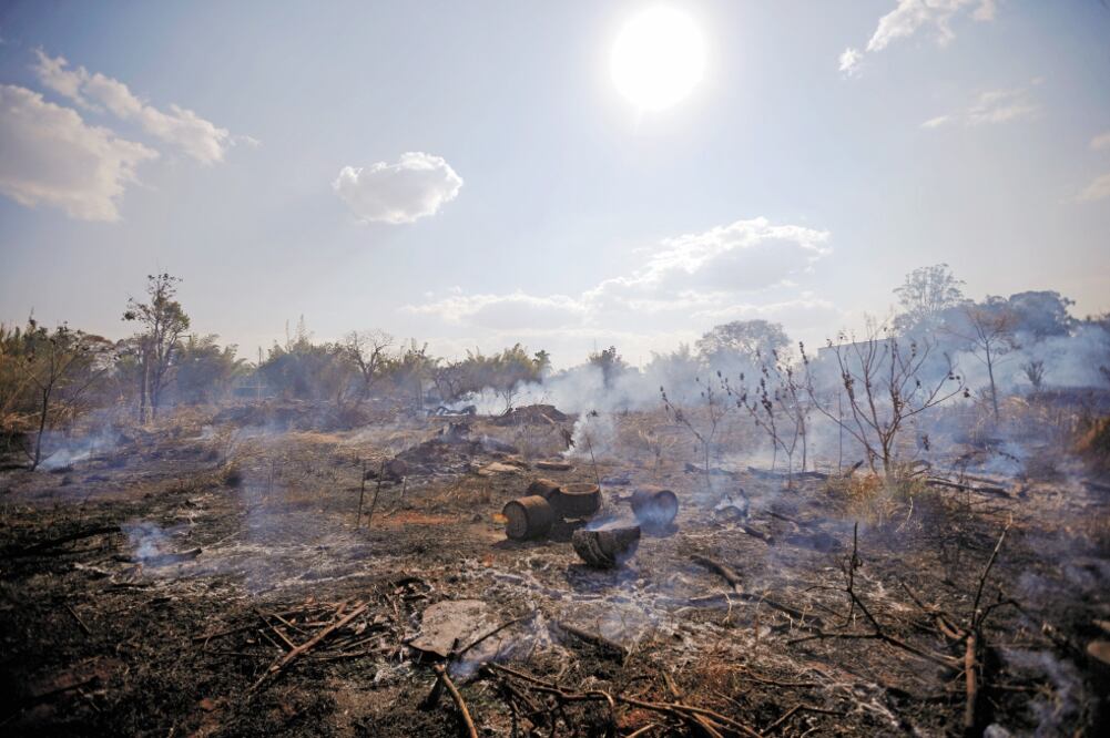 Devastación causada por los incendios en Brasilia. De acuerdo con información oficial, en 2018 se reportaron 39 mil 759 conflagraciones. Foto: ADRIANO MACHADO. REUTERS