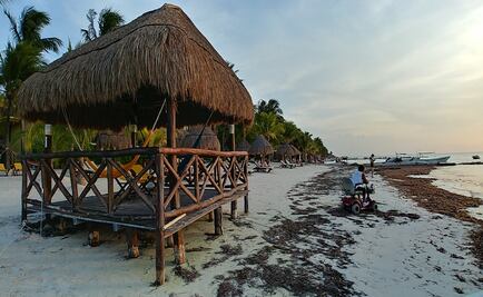 Plan de manejo en Yum Balam “debe salvar a Holbox”: CEMDA