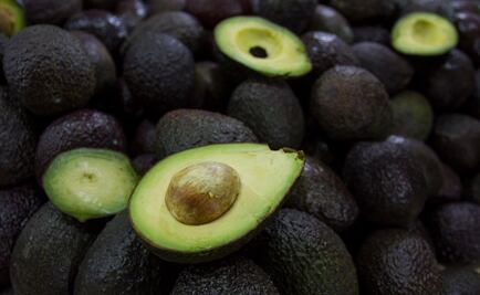 Por precios altos, México analiza importar aguacate