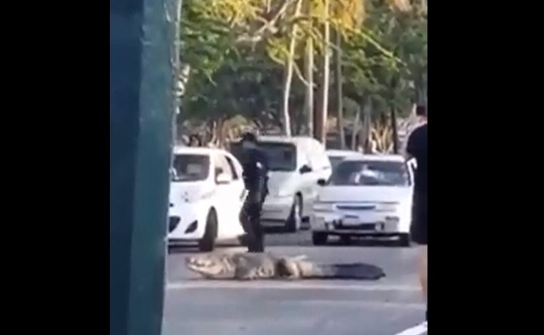 El coordinador general de PC, Pedro Granados, confirmó que las escenas que circulan por internet son verídicas y se registraron este martes en Tampico. Foto: Captura de video  