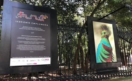 Muestra en las Rejas de Chapultepec exhibirá la belleza del Quetzal