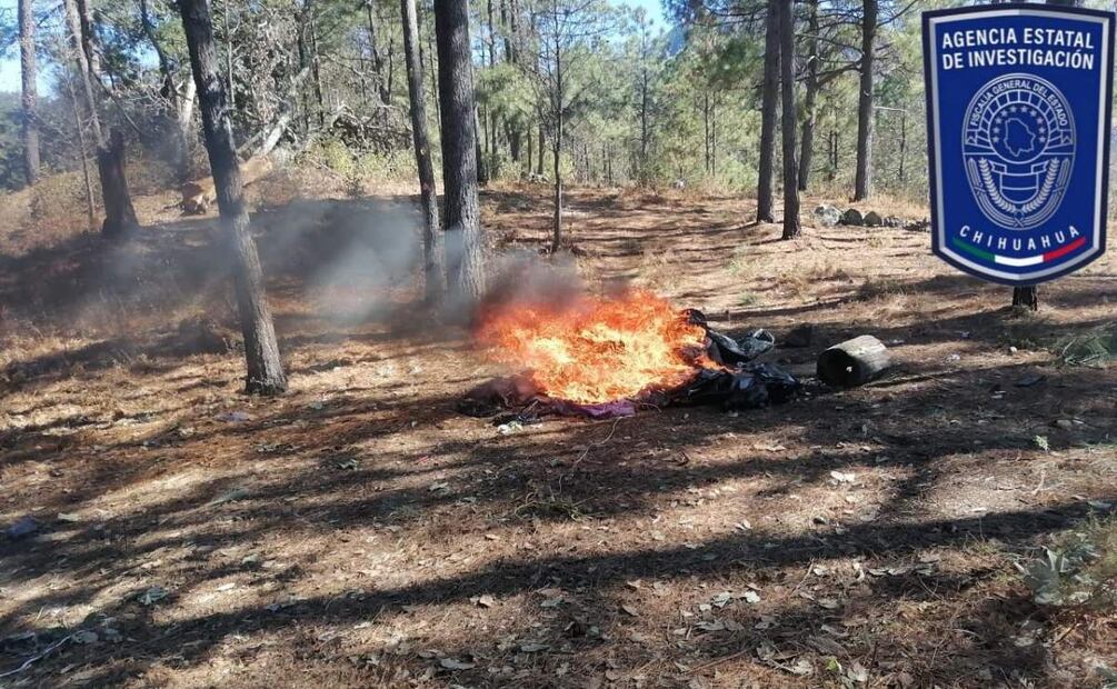 Autoridades destruyen dos campamentos en Guadalupe y Calvo, Chihuahua (30/01/2025). Foto: Especial