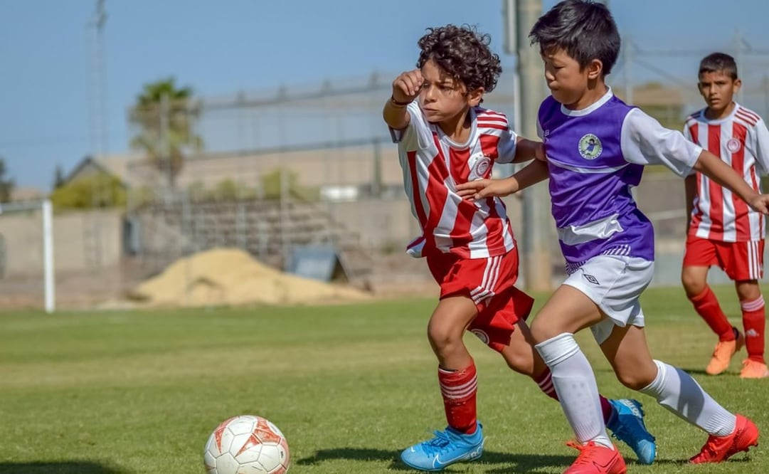 Sectur CDMX lanza licitación para torneo de futbol infantil (09/07/2025). Foto: Pixabay
