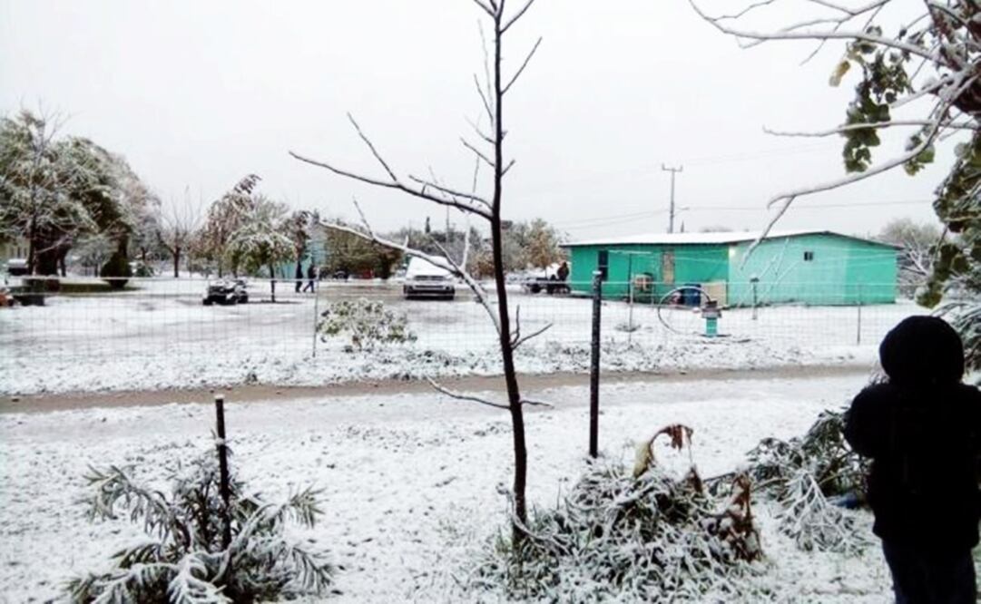 Foto: Archivo/ EL UNIVERSAL                                   